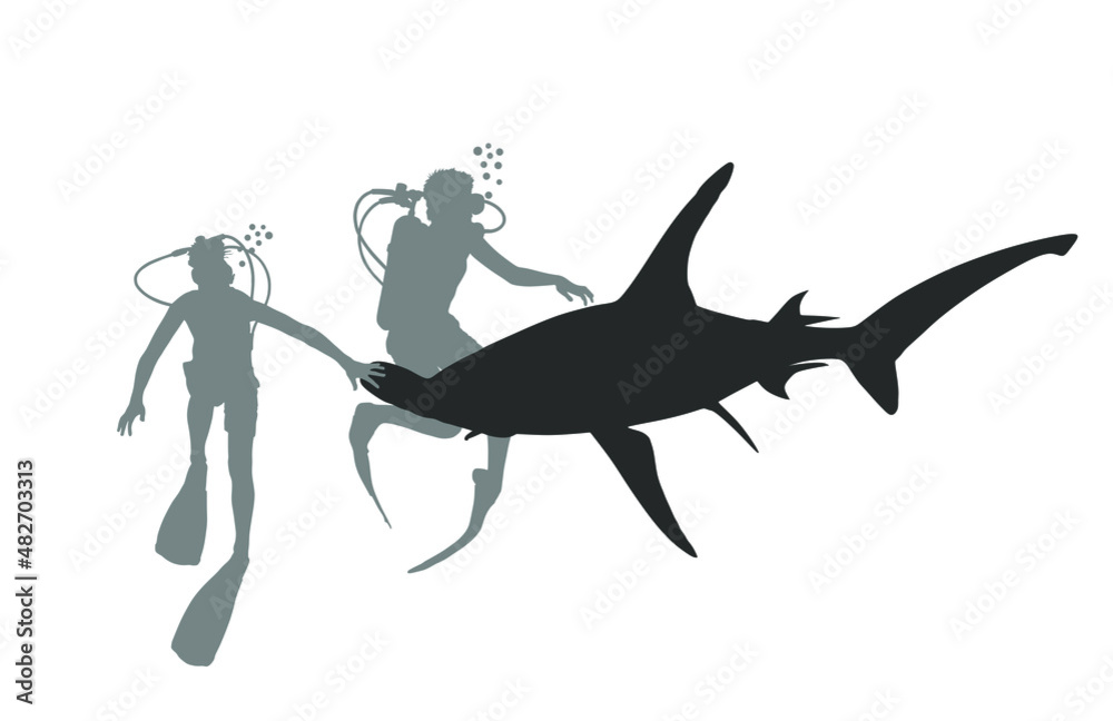 Divers diving and observing Great Hammerhead shark vector silhouette illustration isolated on white background. Underwater expedition. Scientific research Hammer head shark. Brave man ocean explorer. - obrazy, fototapety, plakaty 