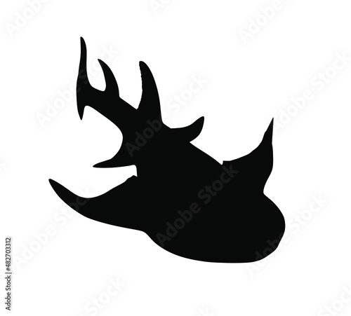Angel shark vector silhouette illustration isolated on white. Dangers of shark on the beach. The biggest fear for divers and swimmers. Under water alert for diving and swimming. Squatina squatina.