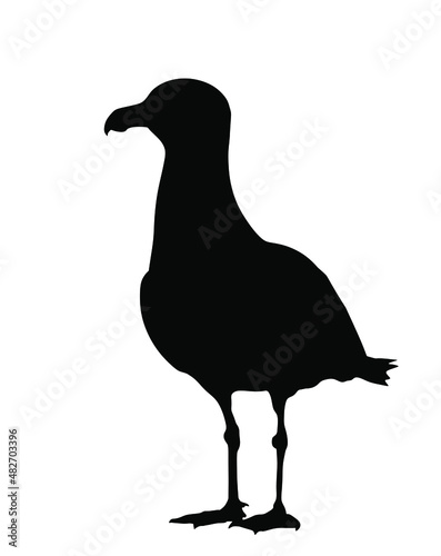 Seagull standing vector silhouette illustration isolated on white background. Sea and ocean bird. Marine bird shape symbol. Fish hunter. Gull tourist travel souvenir mascot.