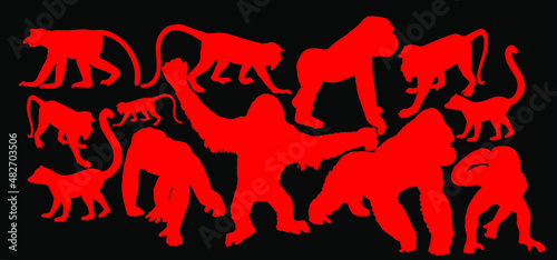 Monkey collection vector silhouette illustration isolated on black background. Chimpanzee. Gorilla. Proboscis monkey nasalis larvatus, nose monkey. Langur. Red shanked Douc. Lemur. Orangutan symbol.