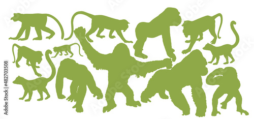 Monkey collection vector silhouette illustration isolated on white background. Chimpanzee. Gorilla. Proboscis monkey nasalis larvatus, nose monkey. Langur. Red shanked Douc. Lemur. Orangutan symbol.