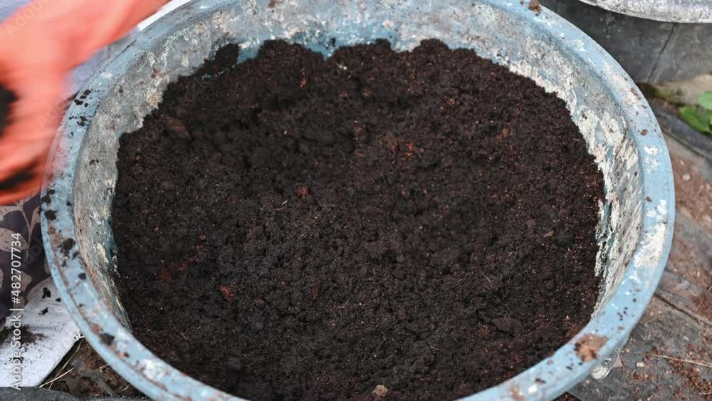 Agriculturist hand shoveling compost from manure, plant, and soil in bucket