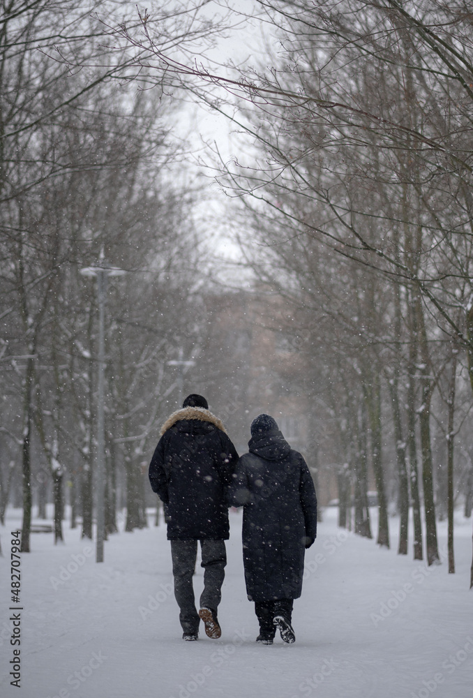 An elderly couple walking away down the road. Pensioners go into the depths of the park. Elderly people walk by the hand in the winter park.