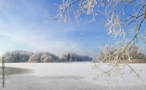 frozen lake with frost covered tree in foreground