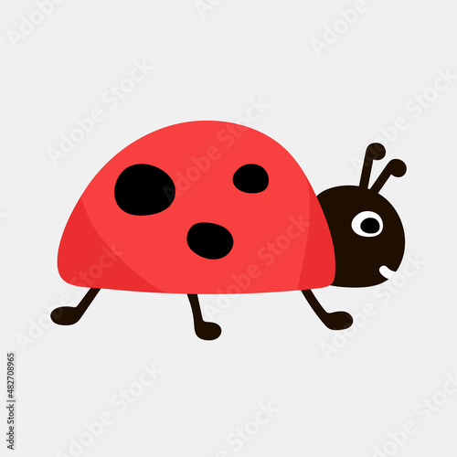 Cute ladybug or ladybird simple flat design. Vector illustration isolated on white background