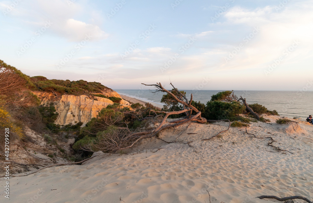 Spain's longest coastline is the coast of Huelva. From 
