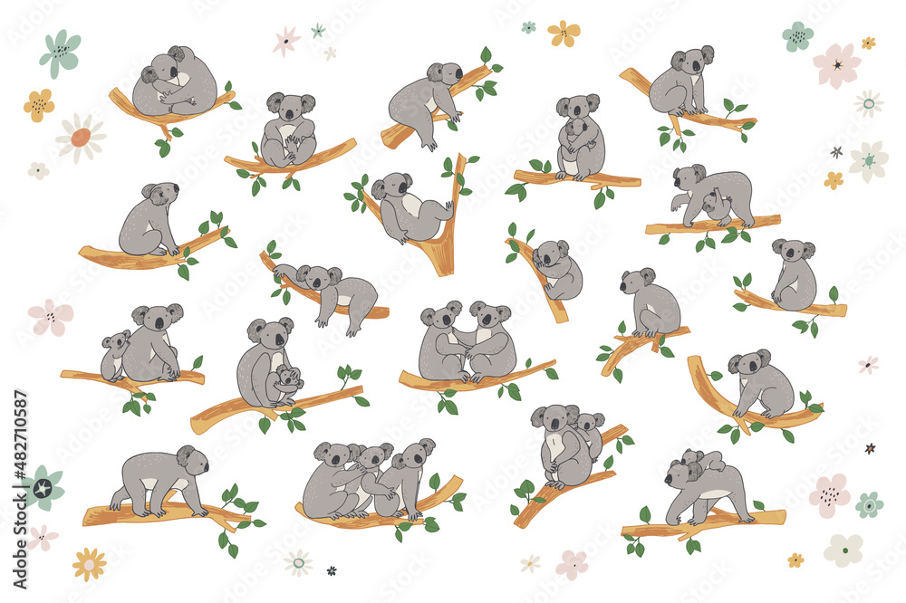 Koala animal with branches vector illustrations set Koala animal with branches vector illustrations set