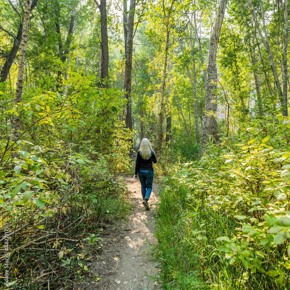 Rear view of woman walking on footpath in forest in Draper Reserve Rear view of woman walking on footpath in forest in Draper Reserve
