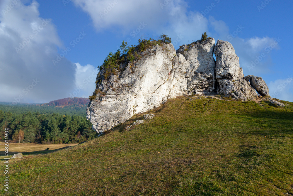 Limestone rocks in Polish Jura Krakowsko-Czestochowska near Mirow.