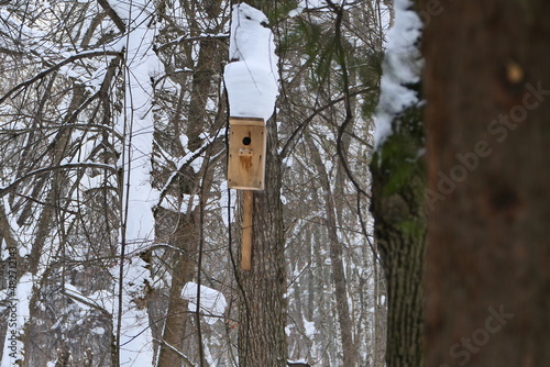 Obraz na plátně Wooden birdhouse on a tree in winter in the park