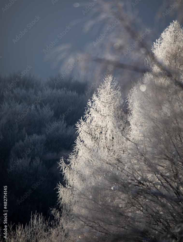 Bieszczady