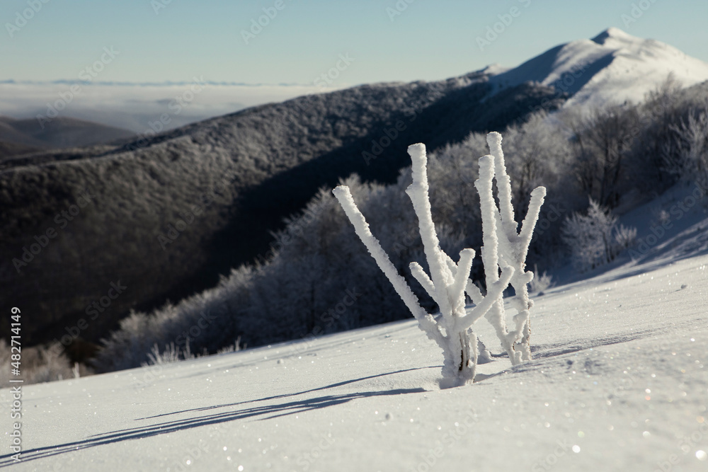 Bieszczady