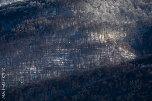 Obraz na płótnie Bieszczady w salonie