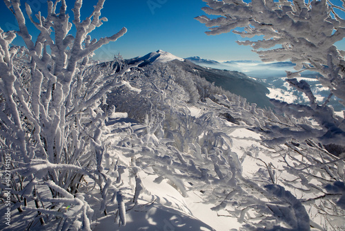 Fototapeta Naklejka Na Ścianę i Meble -  Bieszczady