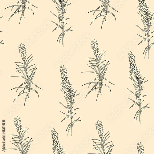 Fototapeta Naklejka Na Ścianę i Meble -  Vector seamless pattern. Monochrome botanical realistic graphic motif for textile and design. Graphically drawn herbs and leaves on a beige background in Huggo style