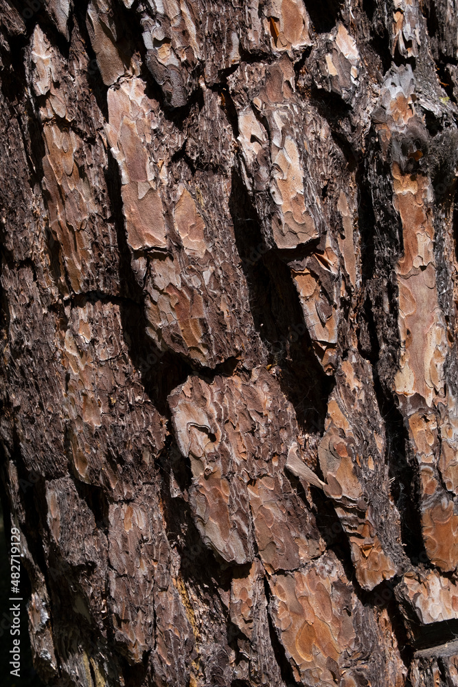 texture