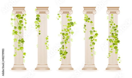 Vector ivy column. Greek marble architecture pillar set with green ivy leaf. Illustration with vine plant climbing on antique column. Ancient roman, greek design watercolor decoration for wedding, etc
