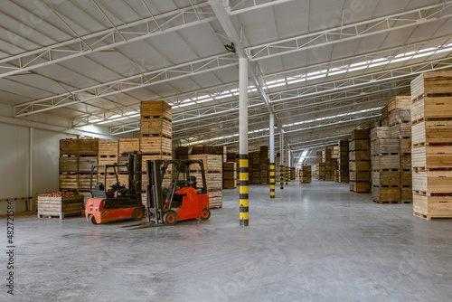 The employee on the electric forklift move it container with ripe apples to inside a fridge airless storage camera. Production facilities of large warehouse - grading, packing and storage of crops.