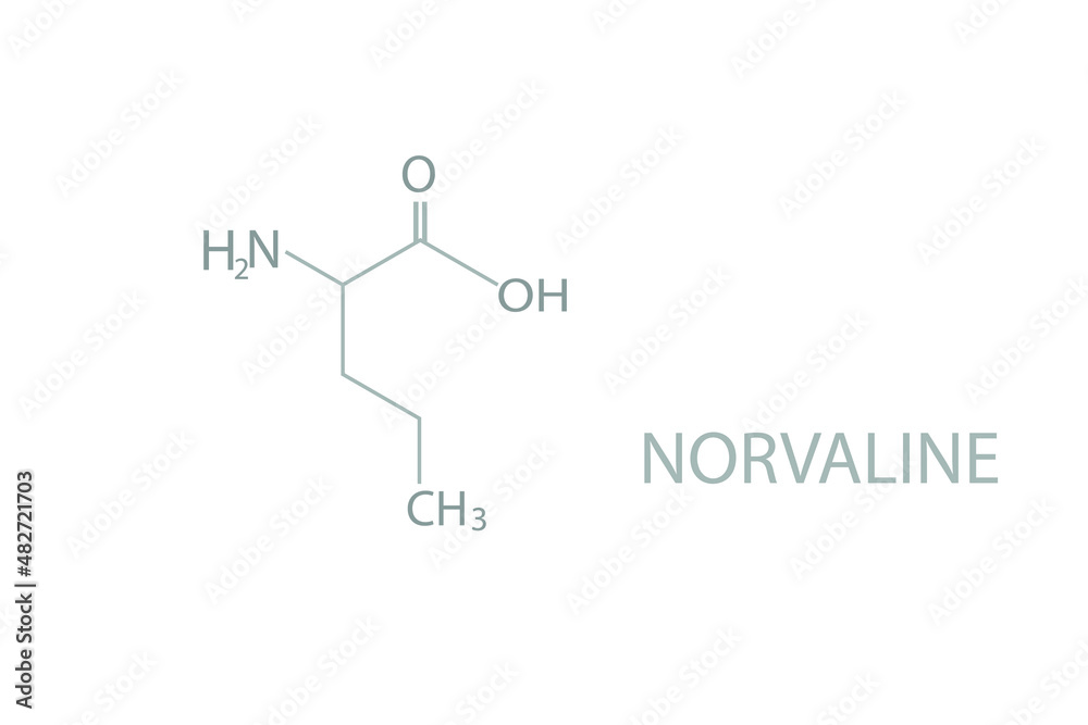 Norvaline molecular skeletal chemical formula.	