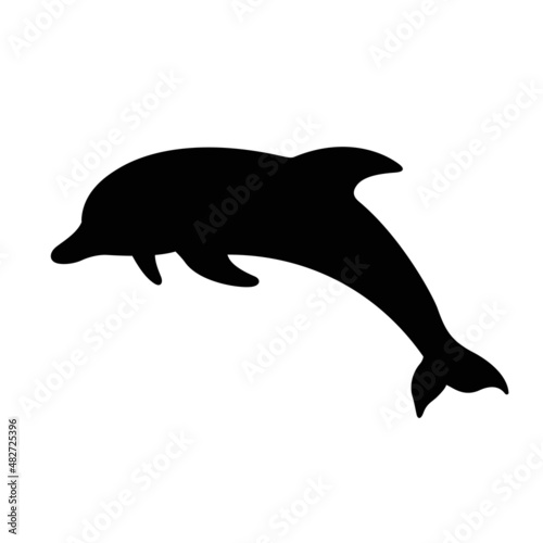 Jumping dolphin