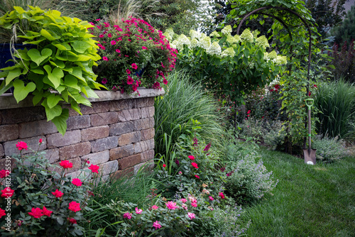Garden containers bursting with  cherry red petunias and chartreuse sweet potato vine gracefully trail down a retaining walls ledgestone coping providing privacy and beauty in midsummer. 