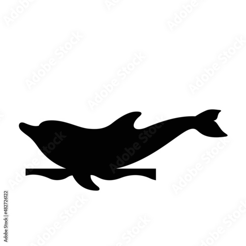 Dolphin performs a trick