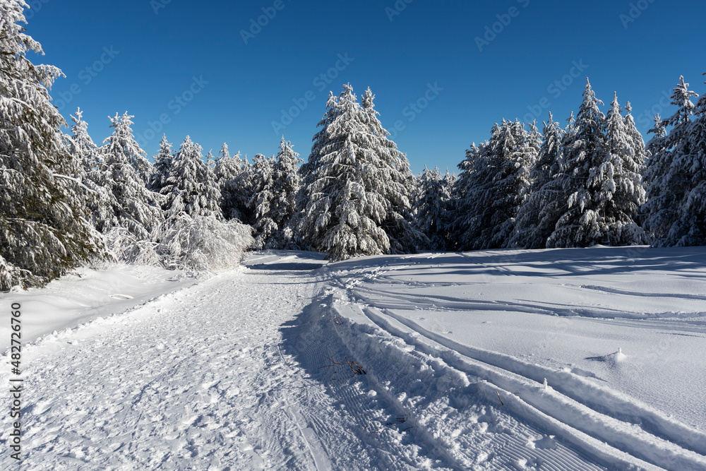 Winter landscape of Vitosha Mountain, Bulgaria Winter landscape of Vitosha Mountain, Bulgaria