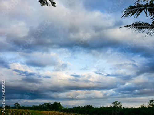 Obraz na plátně sky and clouds on the ricefield