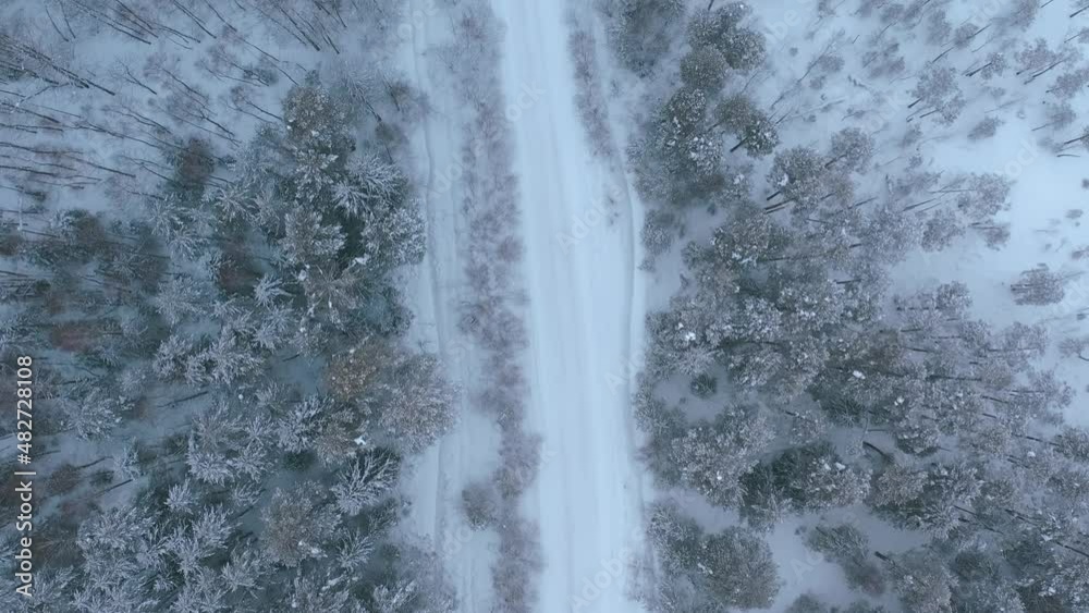Aerial view from drone on snow-covered winter pine forest and winter road in rural Russia. Pine branches covered with frost. Aerial view from drone on snow-covered winter pine forest and winter road in rural Russia. Pine branches covered with frost.