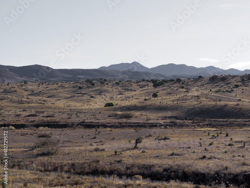 landscape in the desert