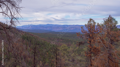 autumn landscape in the mountains
