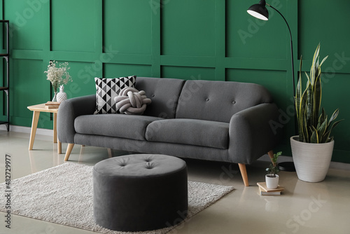 Comfortable pouf, sofa, floor lamp and houseplants near color wall