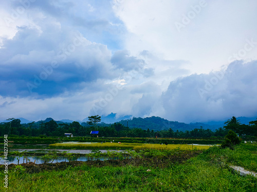 Landscape sunset of cloud and blue sky on the farm background beautiful nature.