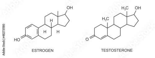 Testosterone and estradiol icons. Chemical molecular structure. Steroid male female sex hormone signs isolated on white background. Replacement therapy concept. Vector graphic illustration