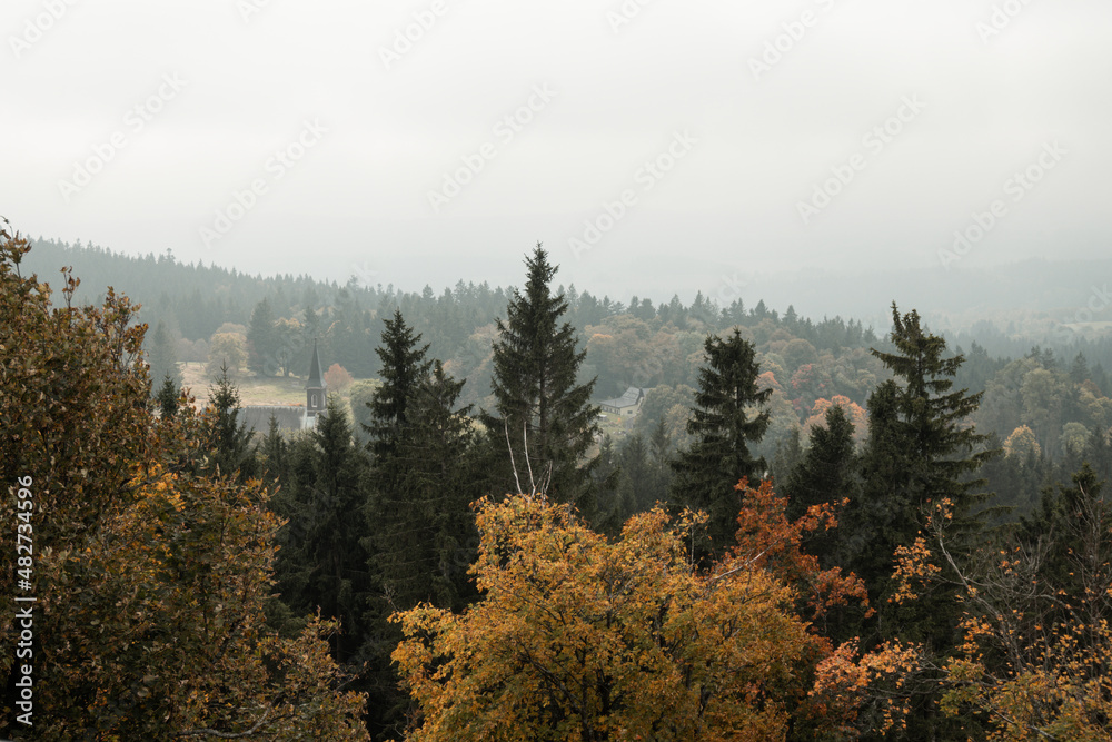 View on the trees from Vitkuv Castle, Sumava mountains, autumn in Czech republic