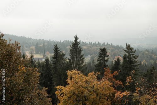 View on the trees from Vitkuv Castle, Sumava mountains, autumn in Czech republic