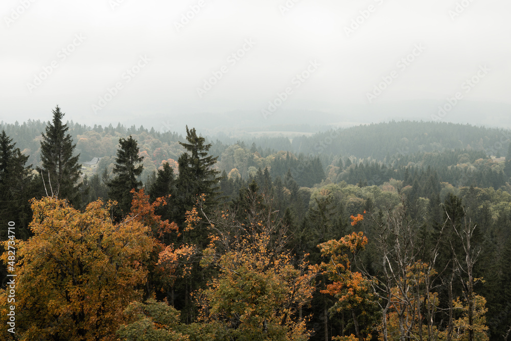 View on the trees from Vitkuv castle, Sumava mountains at autumn, Czech republic