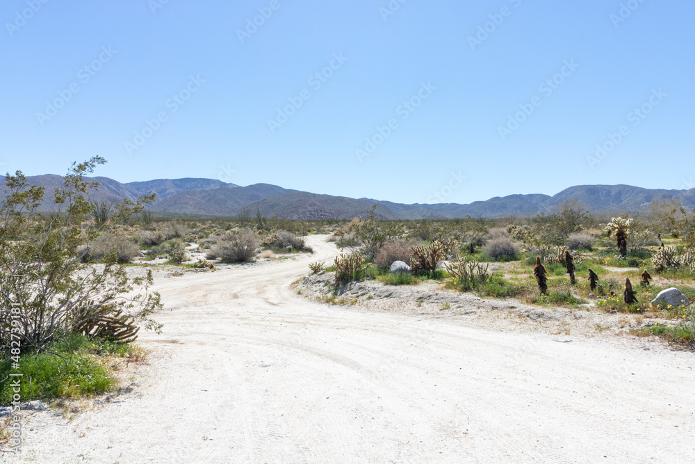 Southwest desert landscape with winding road w desert plants in springtime, camping, hiking and adventure in spring in American desert scenery