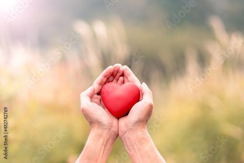 Abstract closeup of red heart in hand on beautiful nature background. Love and compassion or organ donation concept. photo