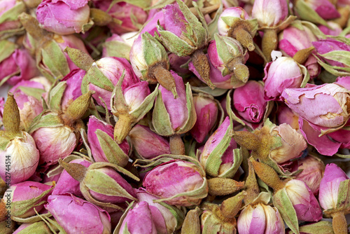 close up of pink roses