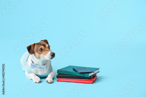 Fototapeta Naklejka Na Ścianę i Meble -  Business dog with notebooks and passport on color background
