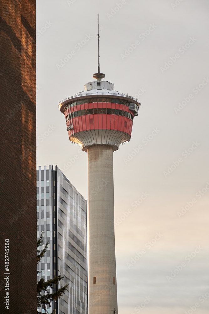 The Calgary Tower cloudless yellow sunset The Calgary Tower cloudless yellow sunset