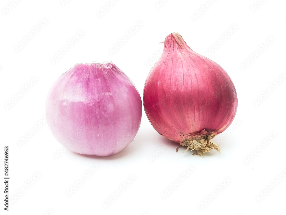 Freshly harvested shallots have medicinal properties that relieve colds, placed separately on a white background.