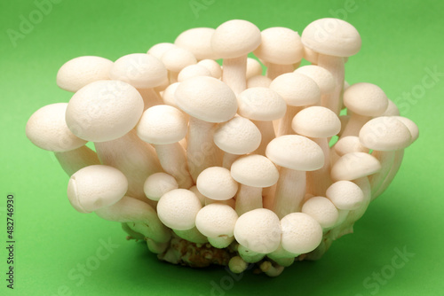 shimeji mushrooms background