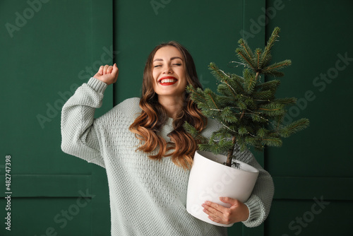 Εκτύπωση καμβά Beautiful woman holding flowerpot with Christmas tree near green wall
