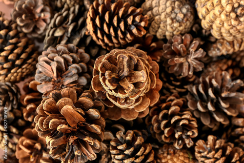 Heap of pine cones as background, closeup
