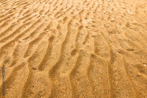 風が作った砂浜の模様