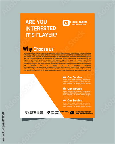 Flyer  Layout design template.Modern Business flyer. corporate flyer. illustration vector in A4 size
