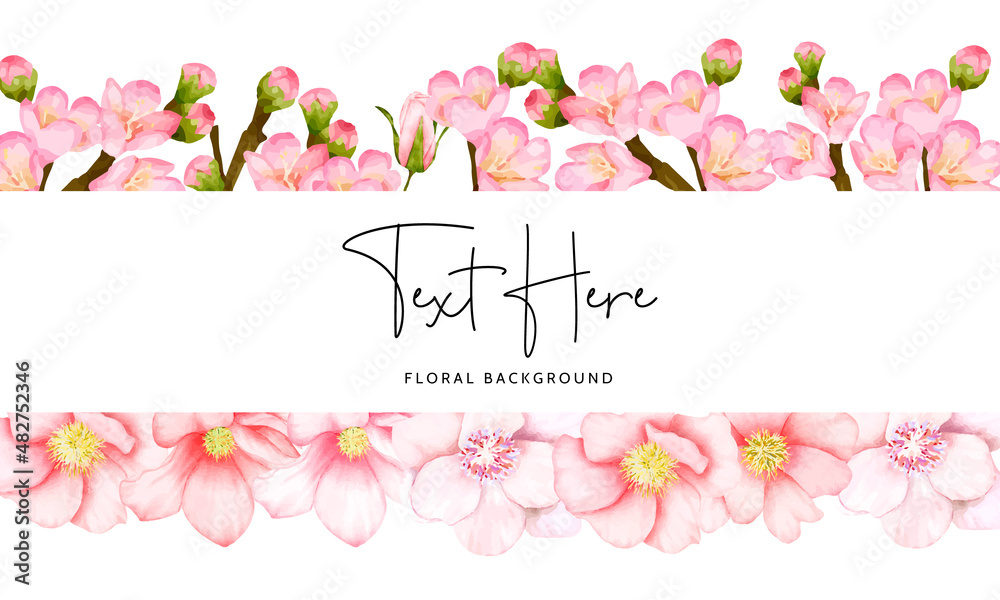 beautiful floral background cherry blossom flower