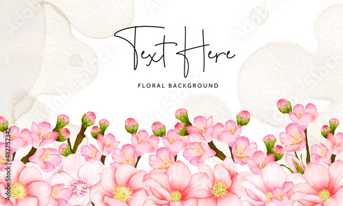beautiful floral background cherry blossom flower